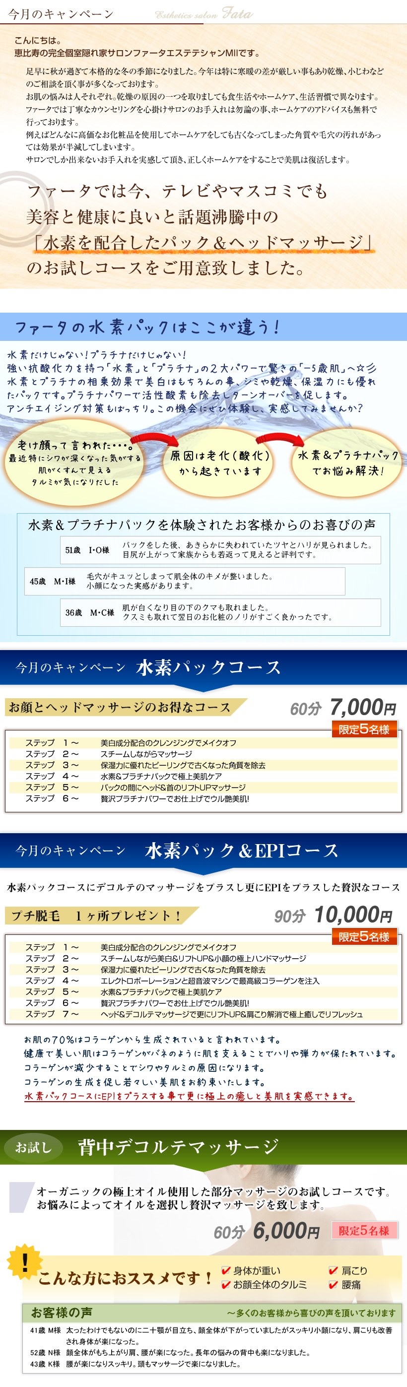 �b����G�X�e�@�t�@�[�^�̃L�����y�[��