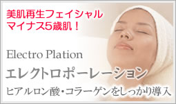 �t�F�C�V�����g���[�g�����g